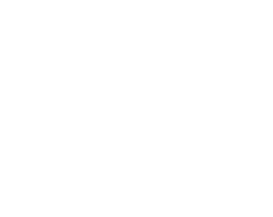 Big Rooster